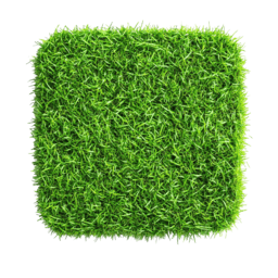 Artificial Grass