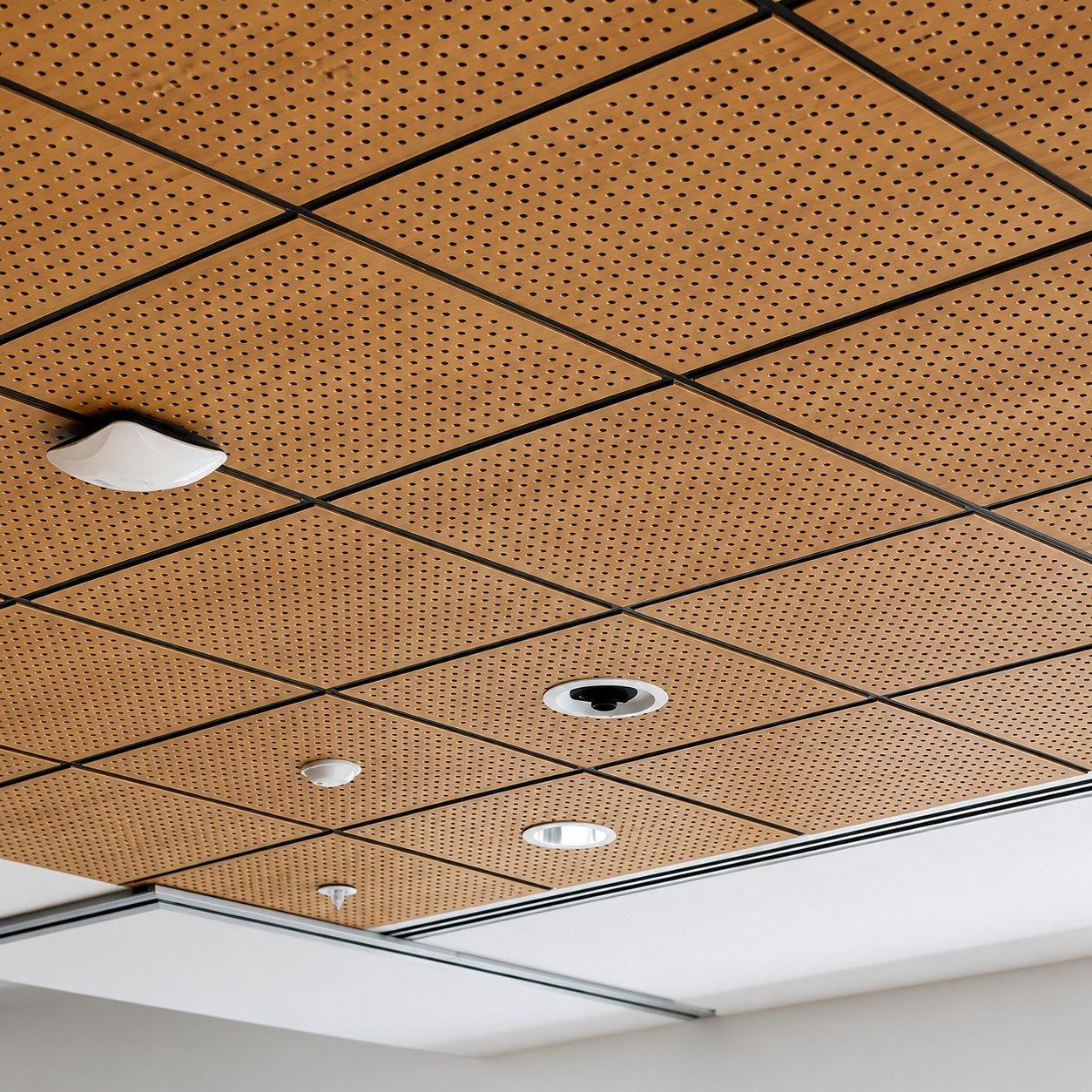 Grid Ceiling